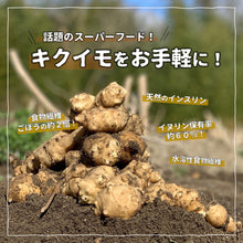 画像をギャラリービューアに読み込む, 国産菊芋グラノーラ プレーン(1袋80g入り)