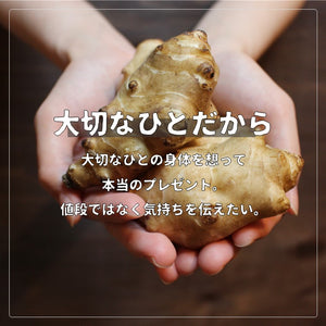 【送料無料あり!】国産菊芋パウダー（1袋50g入り）