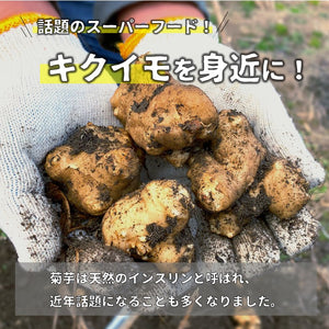 【送料無料】国産菊芋お試し 4点セット