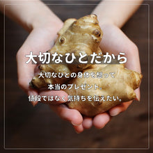 画像をギャラリービューアに読み込む, 【送料無料】国産菊芋お試し 4点セット
